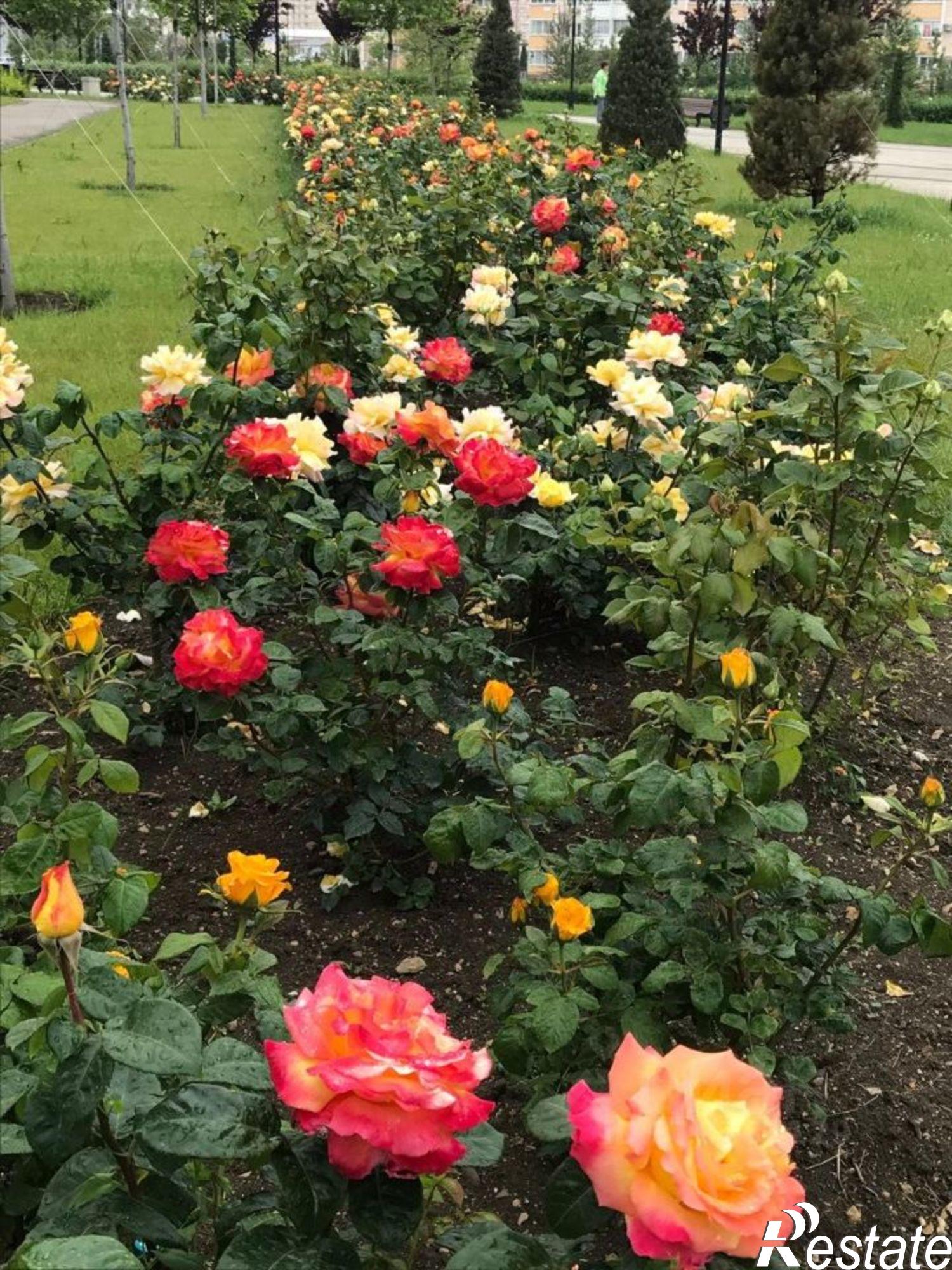 Купить квартиру за 8 350 000 рублей на улица Адмирала Пустошкина, 22 с5