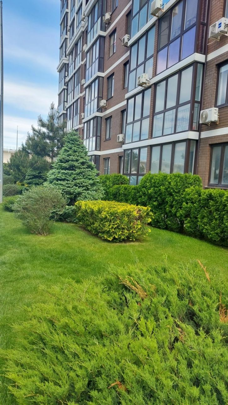 Студия Анапское шоссе, 24к1