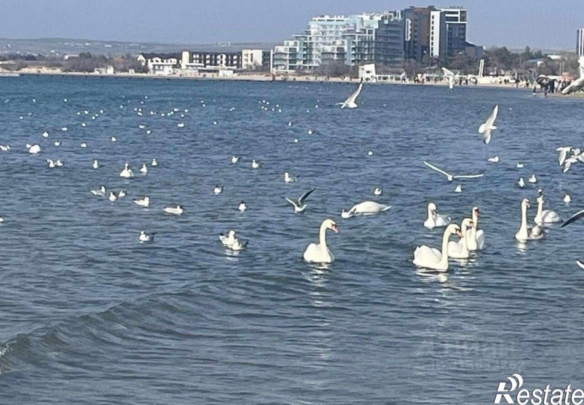 Купить квартиру за 6 290 000 рублей на ул Владимирская, 140