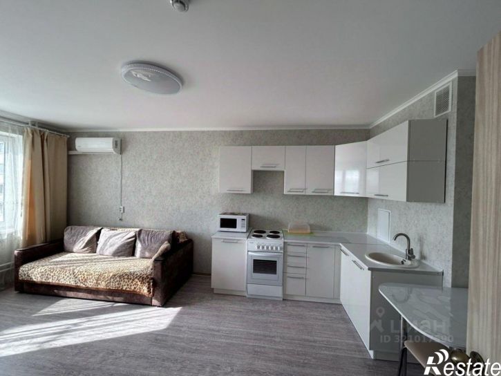 1-комн квартира ул Ленина, 233,  д. 233