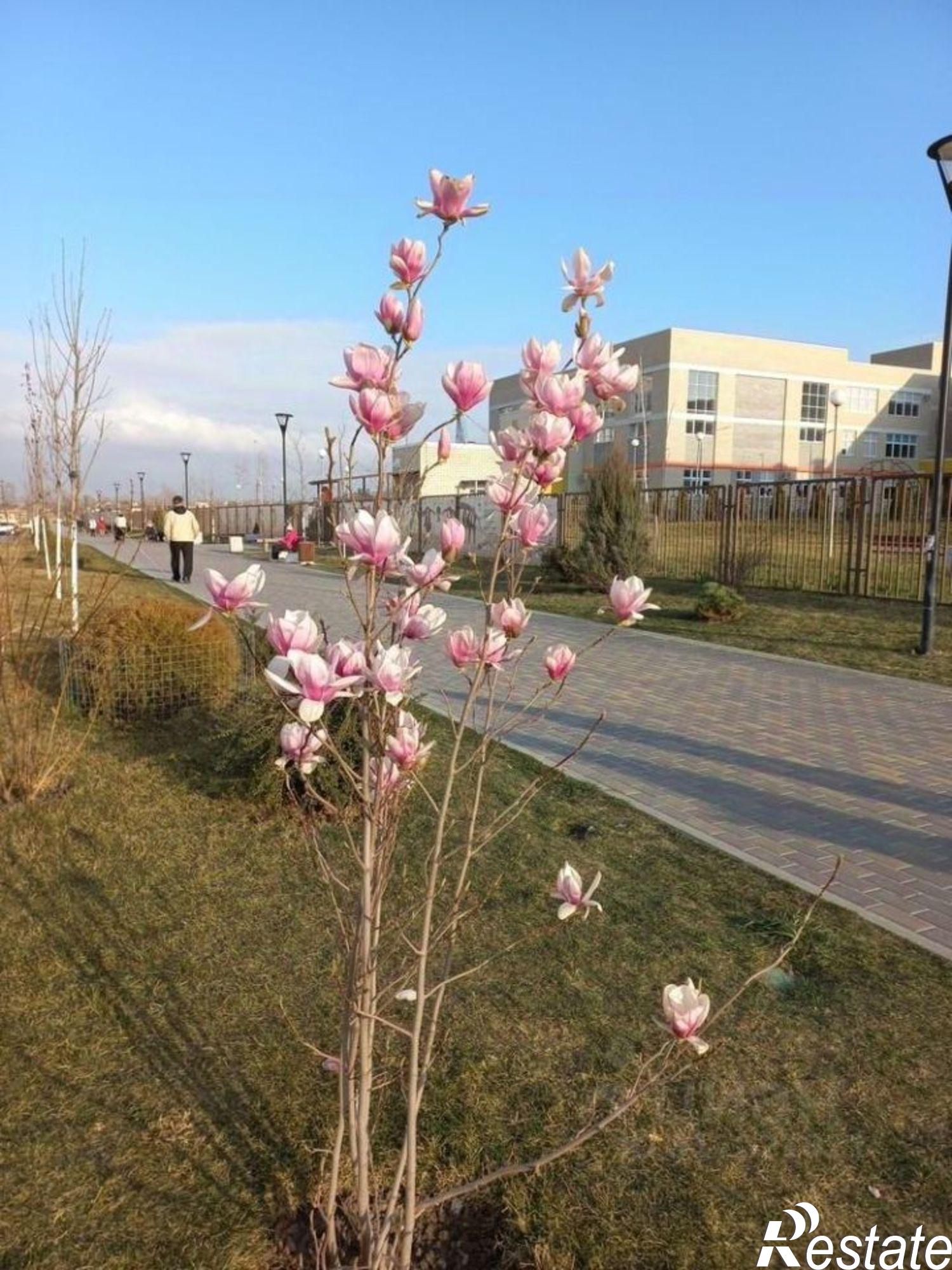 Купить офис, помещение под офис за 2 200 010 рублей на улица Адмирала Пустошкина, 22 с12