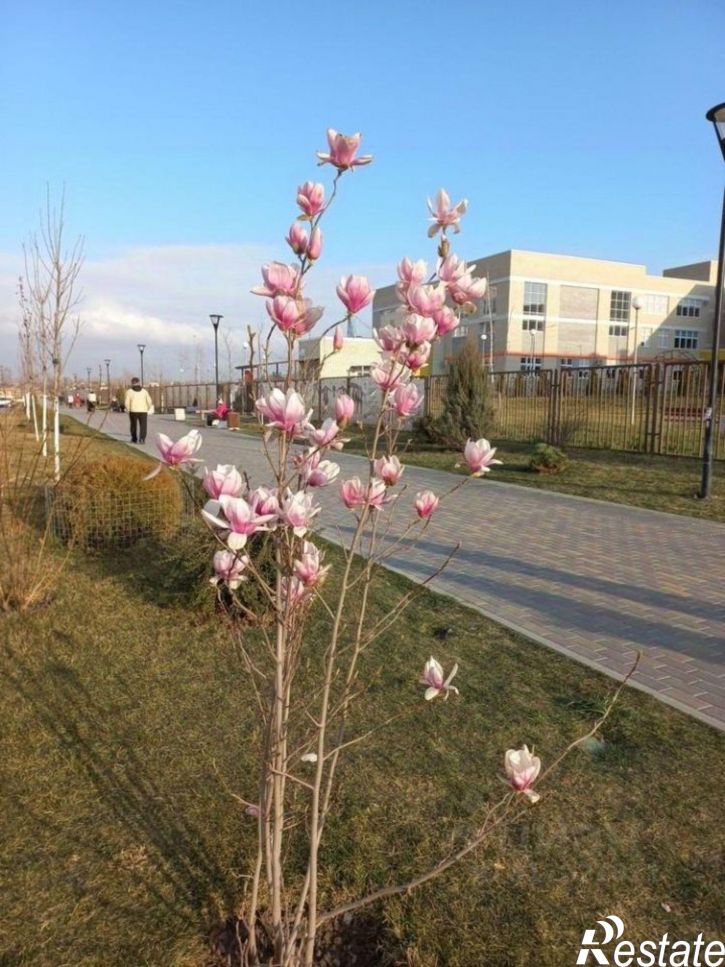 Офис улица Адмирала Пустошкина, 22 с12,  д. 22 с12