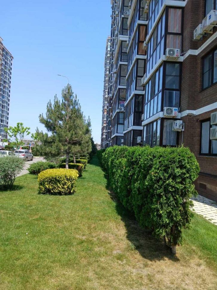 Студия Анапское шоссе, 24к6