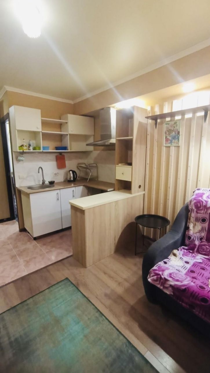 Студия улица Ленина, 196