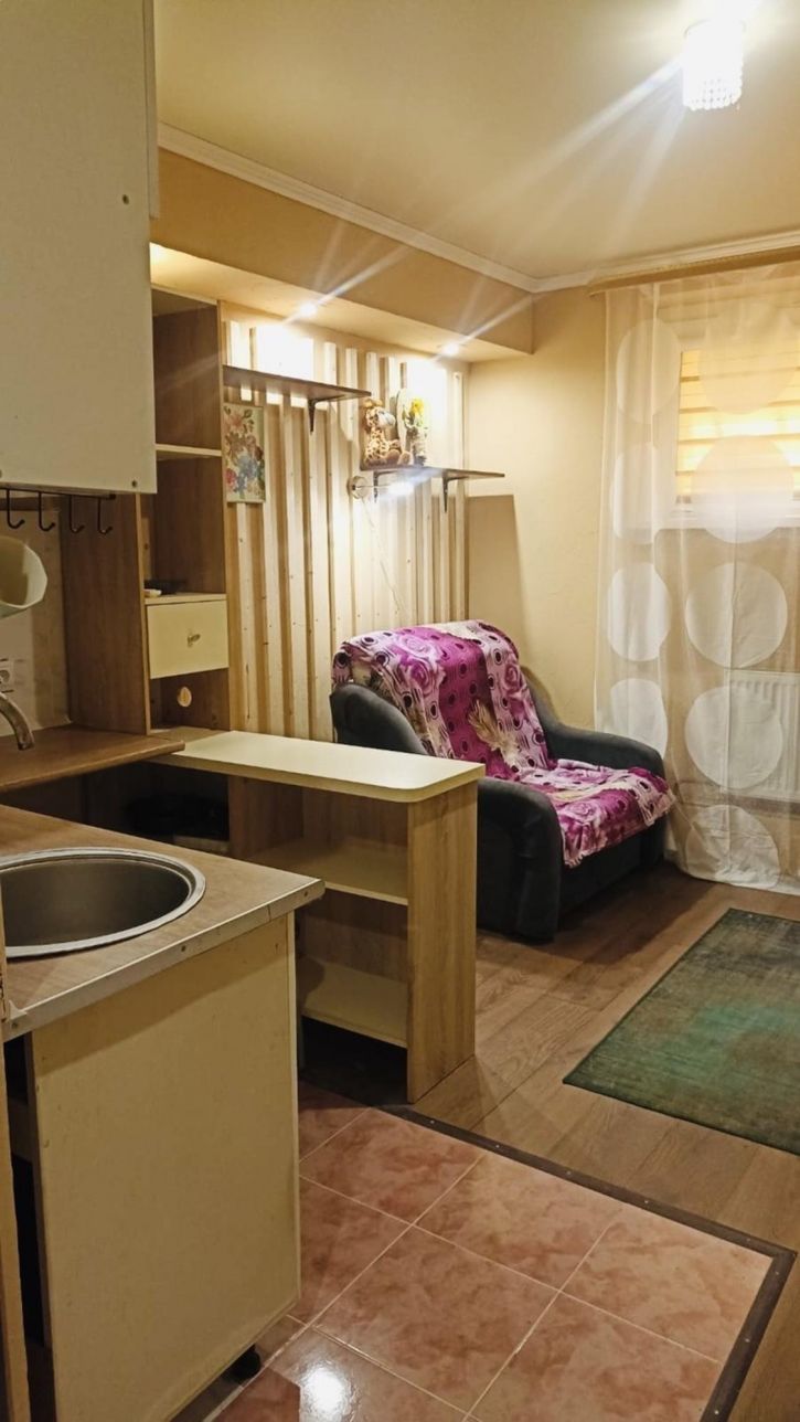 Студия улица Ленина, 196