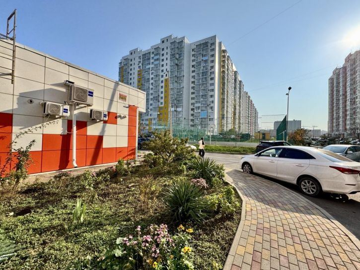 Комната улица Адмирала Пустошкина, 22к4