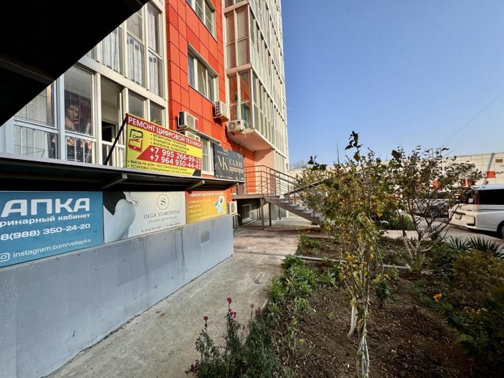 Комната улица Адмирала Пустошкина, 22к4