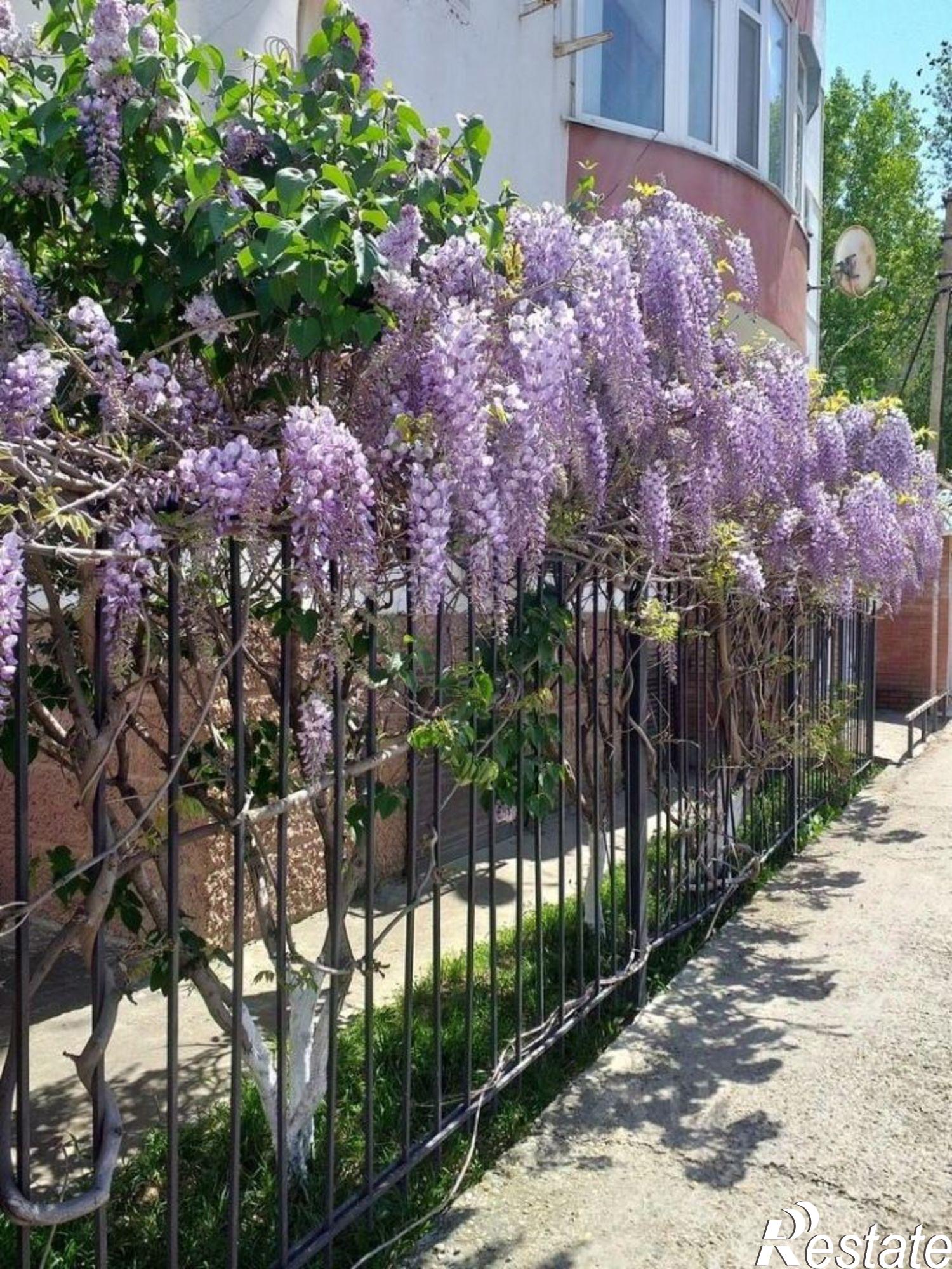 Сдать квартиру за 15 000 рублей на улица Маяковского, 159