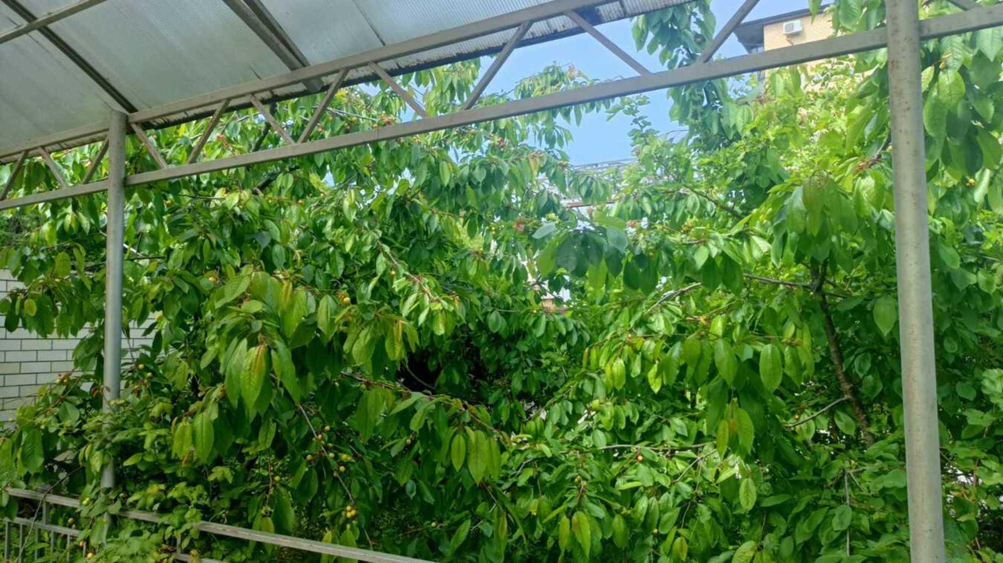 Купить дачу, дом, коттедж за 20 000 000 рублей на Анапское шоссе