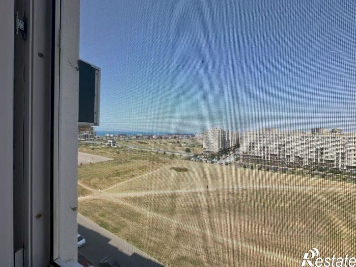 1-комн квартира улица Адмирала Пустошкина, 10,  д. 10