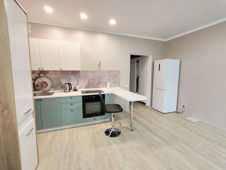 Студия улица Толстого, 130к1