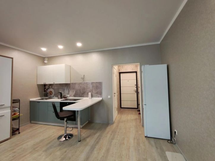 Студия улица Толстого, 130к1