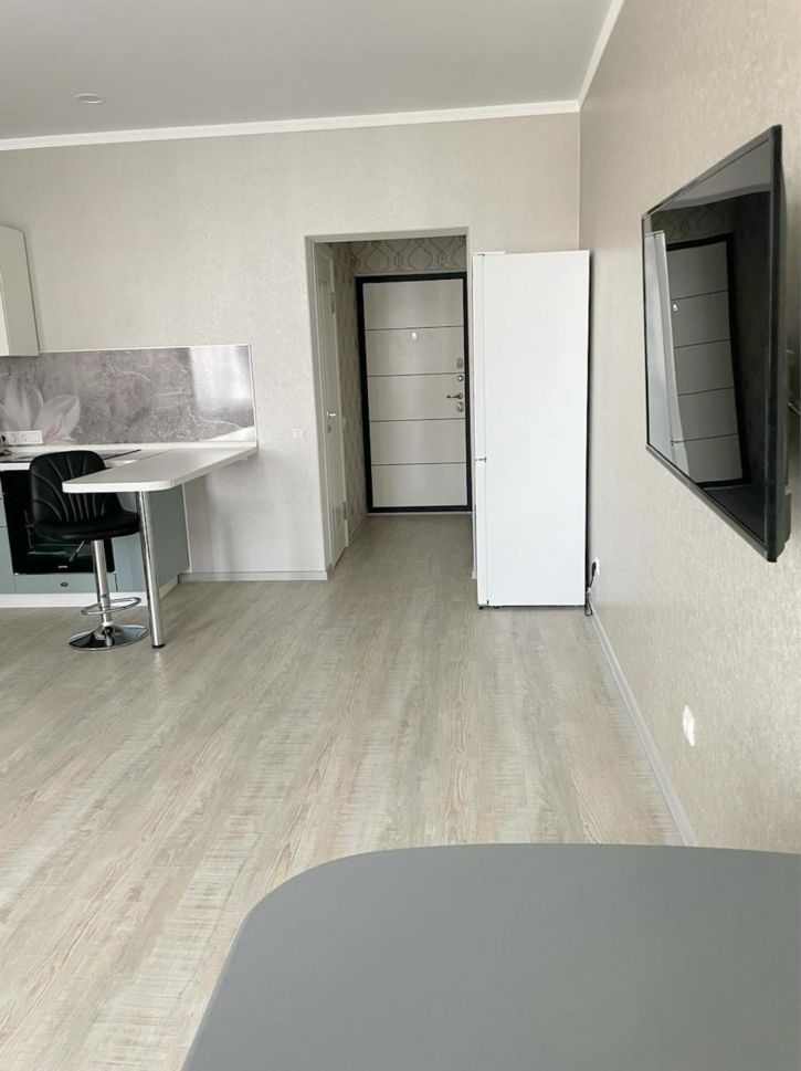 Студия улица Толстого, 130к1