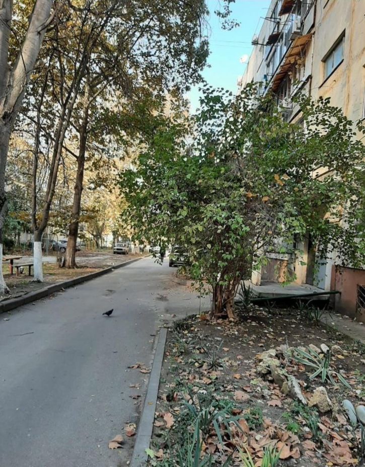 1-комн квартира 45