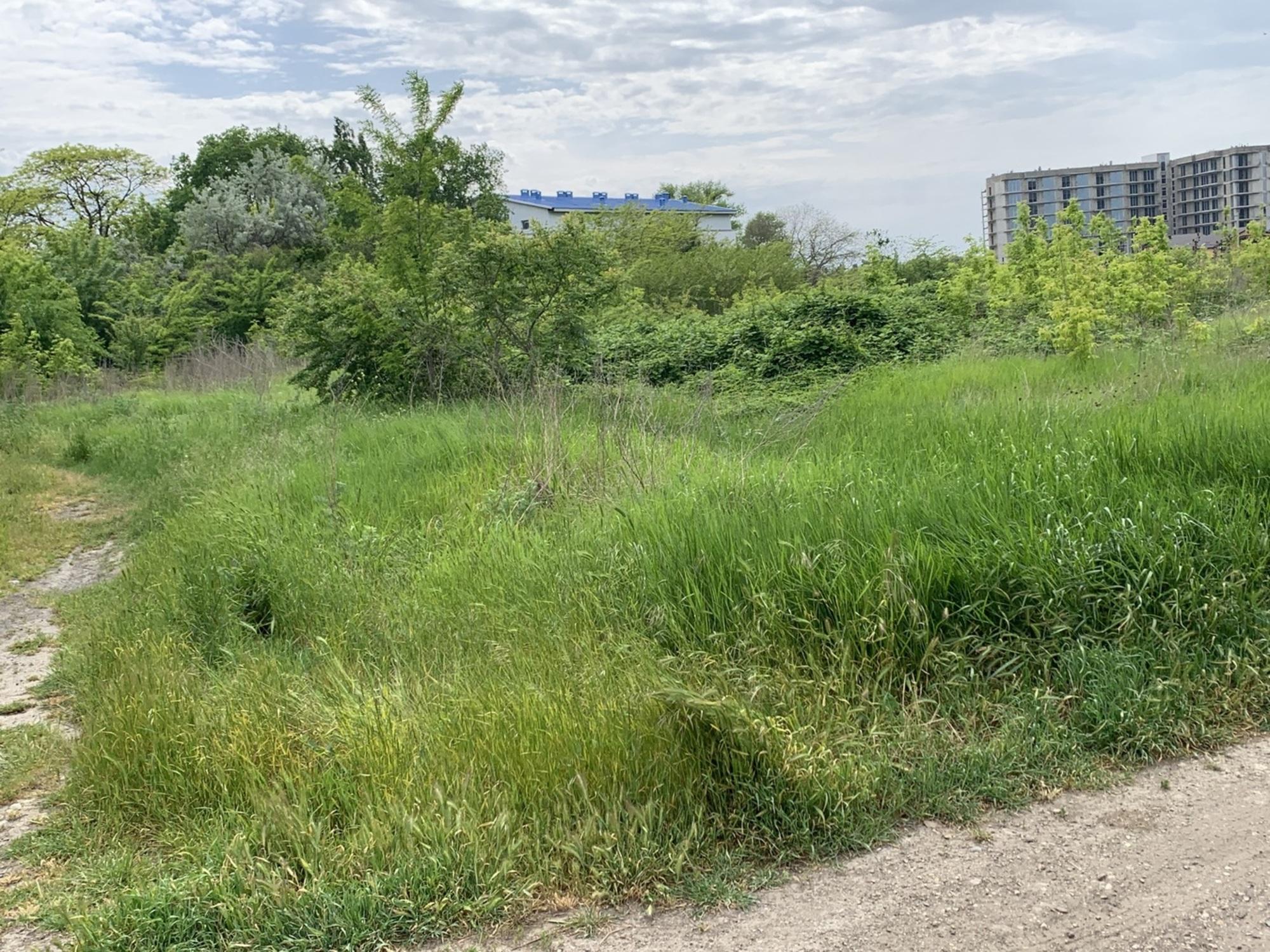 Купить землю, земельный участок за 12 000 000 рублей на Анапа