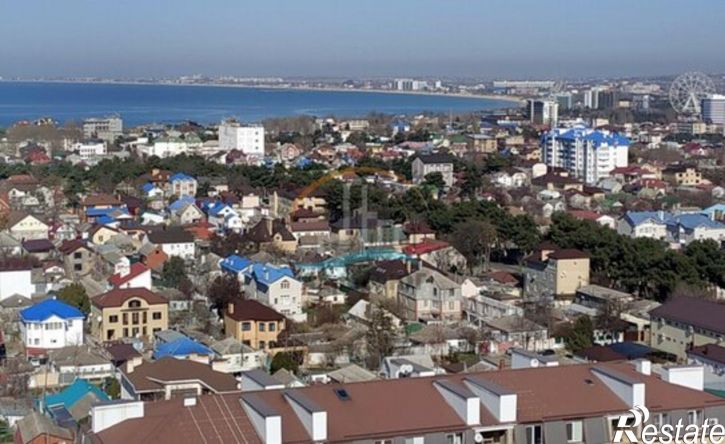 1-комн квартира Владимирская улица, 55В,  д. 55В