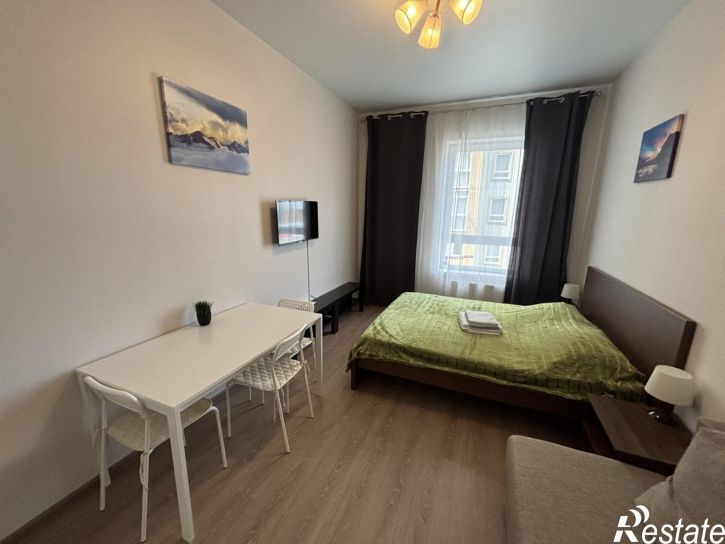 1-комн квартира Пионерский проспект, 57к1