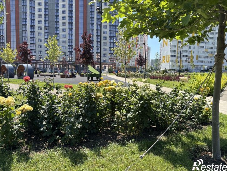1-комн квартира улица Адмирала Пустошкина, 22с1