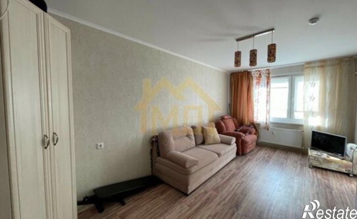 1-комн квартира ул Адмирала Пустошкина, 22 6,  д. 22 6,  к. 6