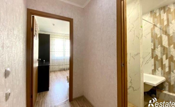 1-комн квартира ул Адмирала Пустошкина, 22 4,  д. 22 4,  к. 4