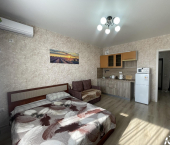 -комн, 25кв м, этаж 5/19 улица Толстого, 130к1