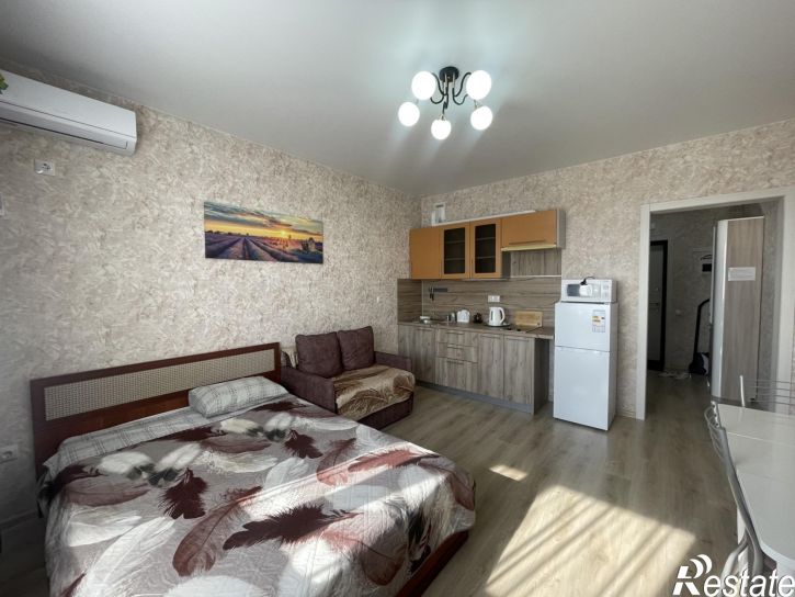 Студия улица Толстого, 130к1