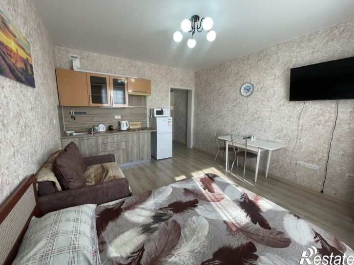Студия улица Толстого, 130к1