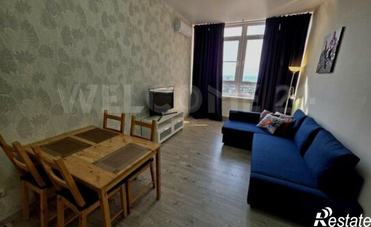 1-комн квартира ул Владимирская, 55В,  д. 55В
