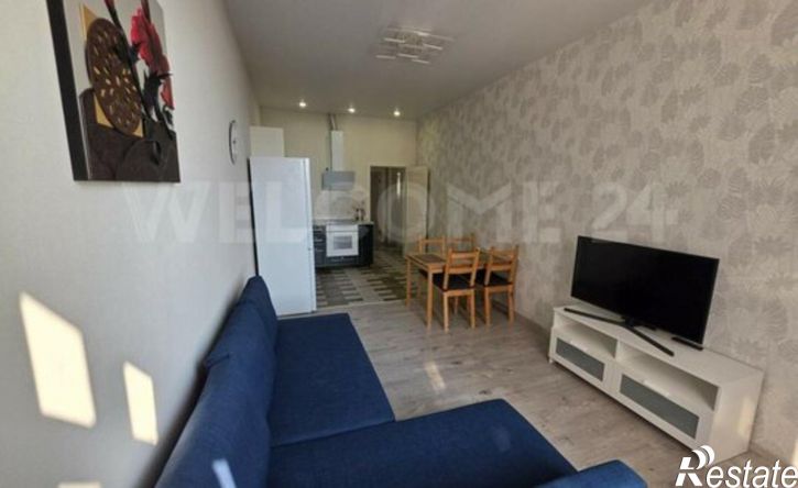 1-комн квартира ул Владимирская, 55В,  д. 55В