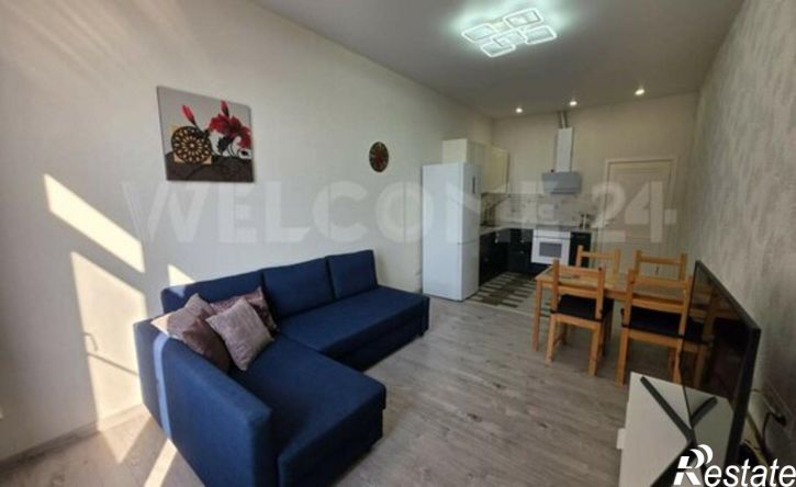 1-комн квартира ул Владимирская, 55В,  д. 55В