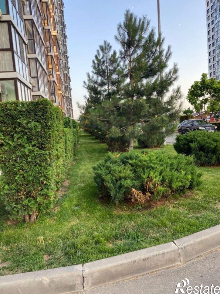 1-комн квартира Анапское шоссе, 24 9,  д. 24 9,  к. 9