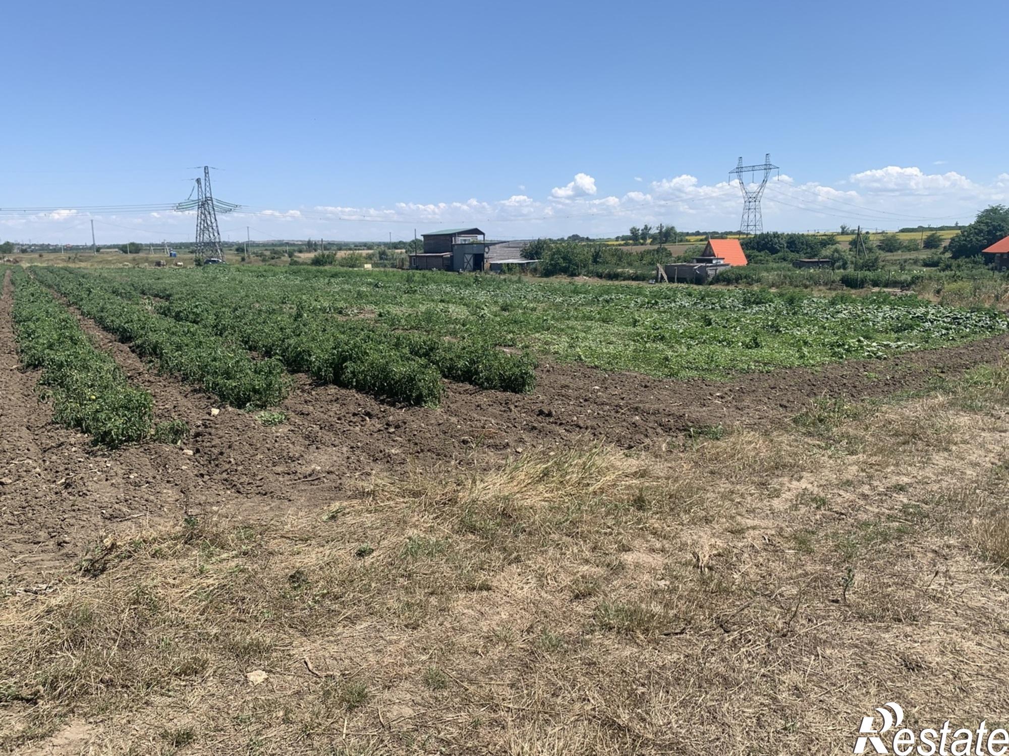 Купить землю, земельный участок за 45 000 000 рублей