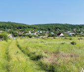 земля 223 сот 