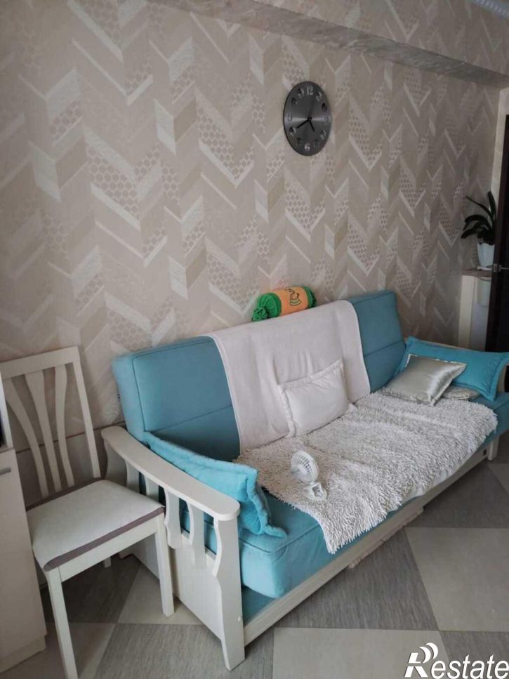 1-комн квартира улица Толстого, 111А