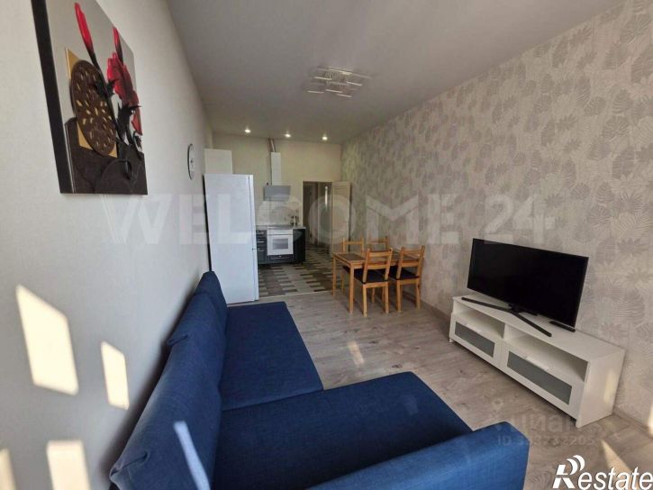 1-комн квартира ул Владимирская, 55В,  д. 55В