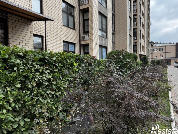 Студия Парковая улица, 61к4