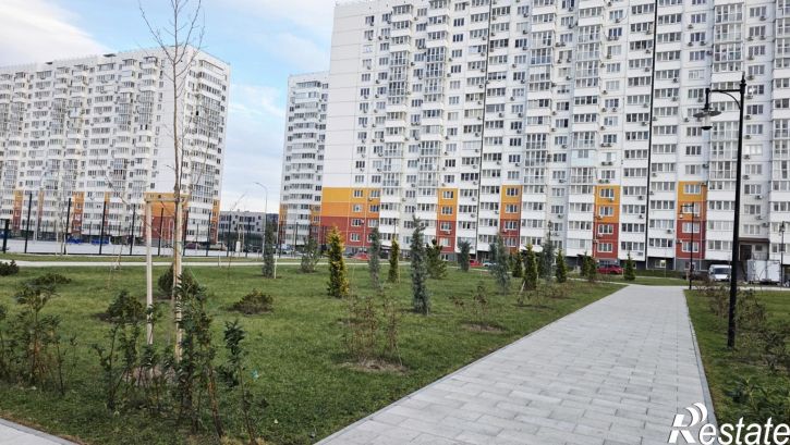Студия улица Ленина, 229