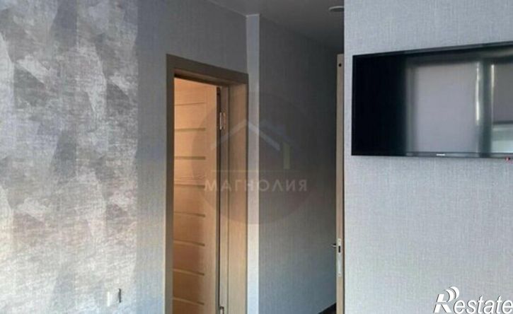 1-комн квартира ул Владимирская, 120,  д. 120