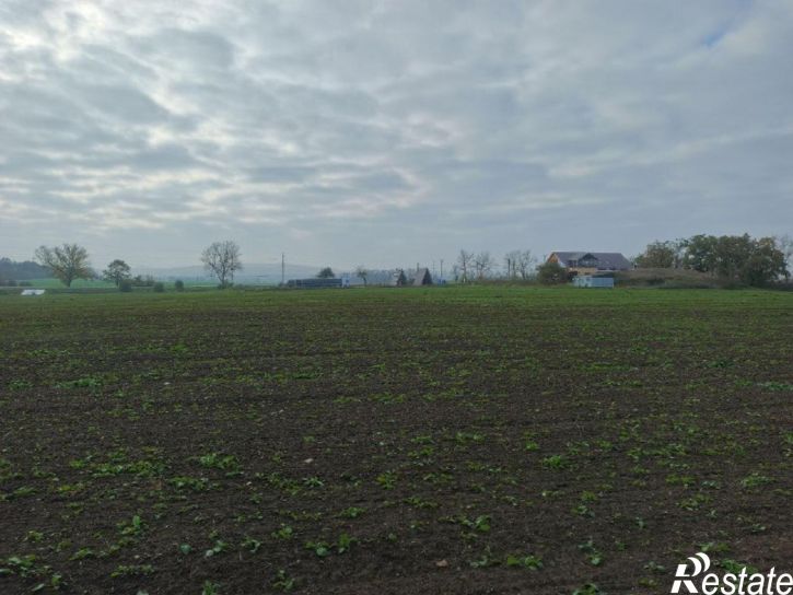Земельный участок
