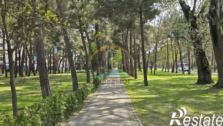 1-комн квартира Пионерский проспект, 87,  д. 87