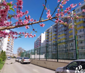 1-комн, 36кв м, этаж 3/9 Парковая улица, 64Ак8