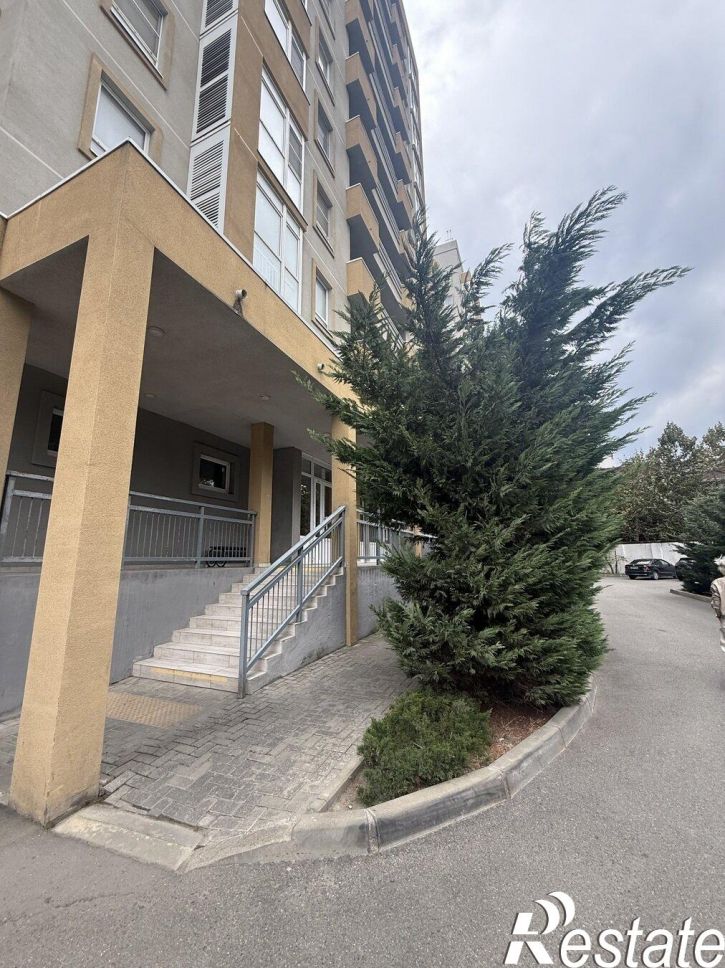Студия Пионерский проспект, 57к1