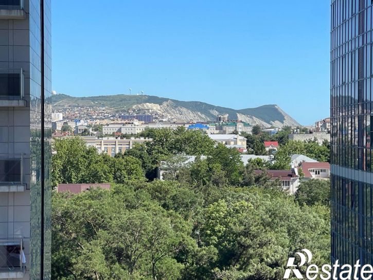 1-комн квартира Крепостная улица, 51к1