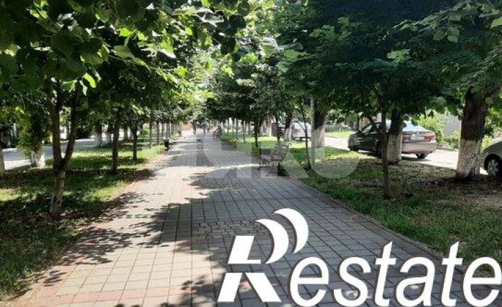 1-комн квартира улица Кати Соловьяновой, 84,  д. 84